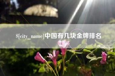 龙岩中国有几块金牌排名