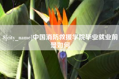 龙岩中国消防救援学院毕业就业前景如何