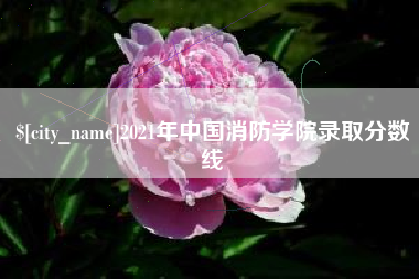 龙岩2021年中国消防学院录取分数线