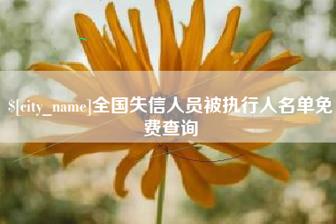 龙岩全国失信人员被执行人名单免费查询