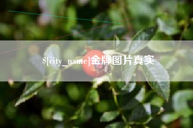龙岩金牌图片真实
