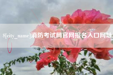 龙岩消防考试网官网报名入口网址