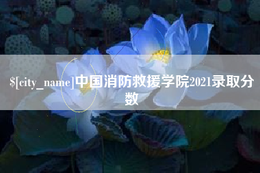 龙岩中国消防救援学院2021录取分数