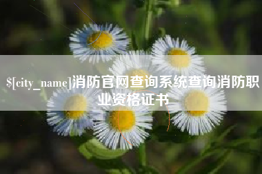 龙岩消防官网查询系统查询消防职业资格证书