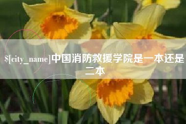 龙岩中国消防救援学院是一本还是二本