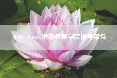 龙岩消防救援学院报考条件