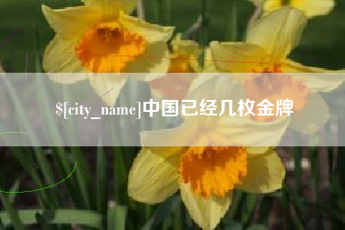 龙岩中国已经几枚金牌