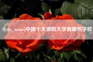 龙岩中国十大消防大学有哪些学校