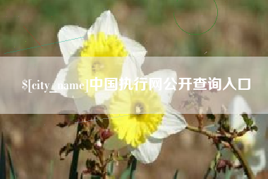 龙岩中国执行网公开查询入口