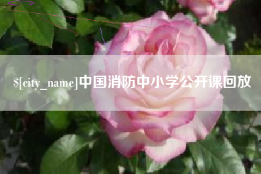 龙岩中国消防中小学公开课回放