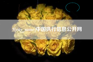 龙岩中国执行信息公开网