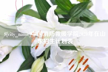 龙岩中国消防救援学院2020年在山东招生计划表