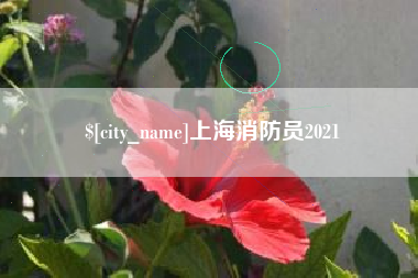 龙岩上海消防员2021