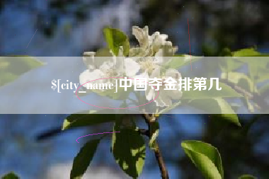 龙岩中国夺金排第几