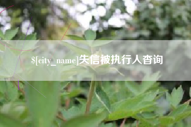 龙岩失信被执行人杳询