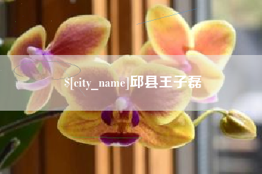 龙岩邱县王子磊