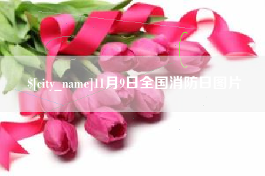 龙岩11月9日全国消防日图片