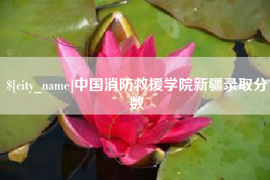 龙岩中国消防救援学院新疆录取分数