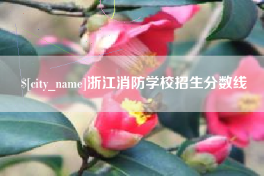 龙岩浙江消防学校招生分数线