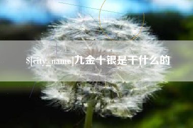 龙岩九金十银是干什么的