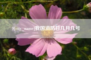龙岩我国消防日几月几号