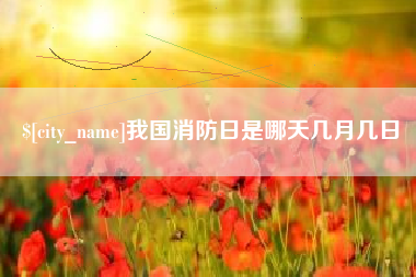 龙岩我国消防日是哪天几月几日