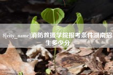 龙岩消防救援学院报考条件湖南招生多少分