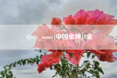 龙岩中国金牌18金