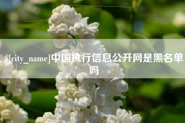 龙岩中国执行信息公开网是黑名单吗