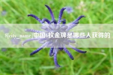 龙岩中国6枚金牌是哪些人获得的