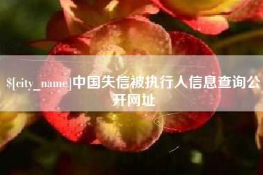 龙岩中国失信被执行人信息查询公开网址