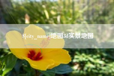 龙岩地图3d实景地图