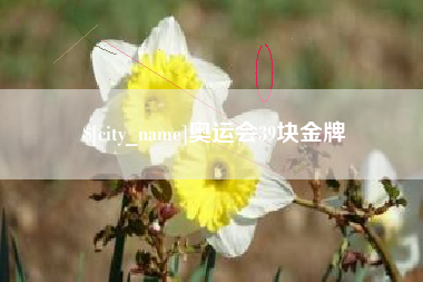 龙岩奥运会39块金牌