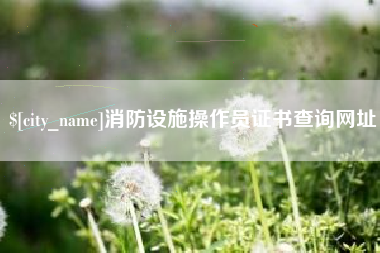 龙岩消防设施操作员证书查询网址