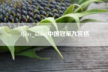 龙岩中国冠军九宫格