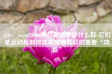 龙岩5000米世界冠军穿什么鞋-它们是运动员取得优异成绩背后的重要“功臣”