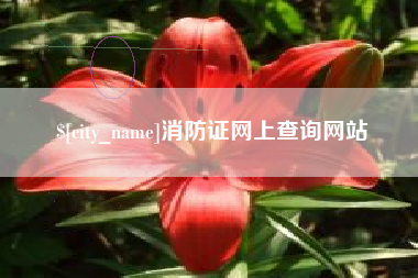 龙岩消防证网上查询网站