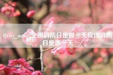 龙岩全国消防日是哪一天宣传消防日是哪一天