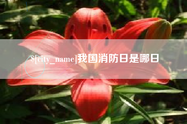 龙岩我国消防日是哪日