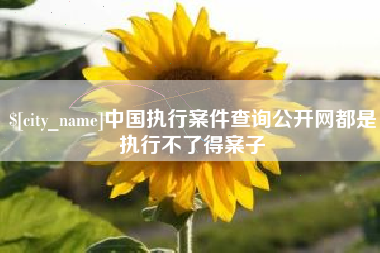 龙岩中国执行案件查询公开网都是执行不了得案子