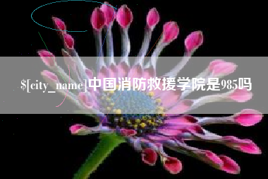 龙岩中国消防救援学院是985吗