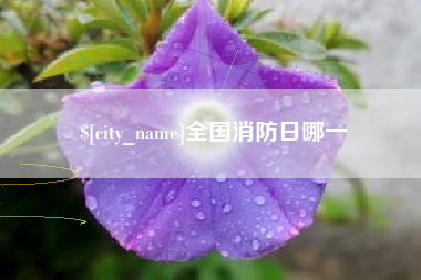 龙岩全国消防日哪一