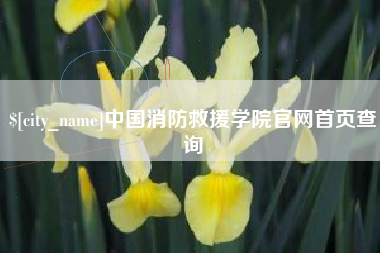 龙岩中国消防救援学院官网首页查询