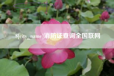 龙岩消防证查询全国联网