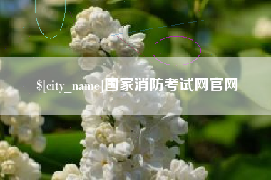 龙岩国家消防考试网官网