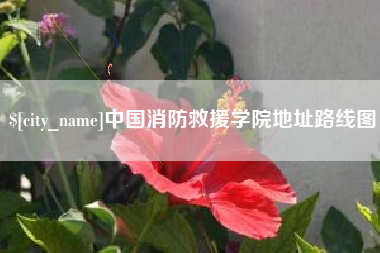 龙岩中国消防救援学院地址路线图