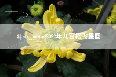 龙岩2022年九宫格飞星图