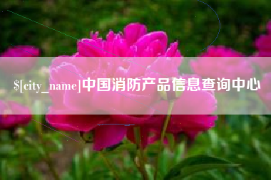 龙岩中国消防产品信息查询中心