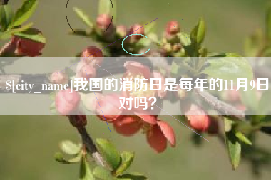 龙岩我国的消防日是每年的11月9日对吗？