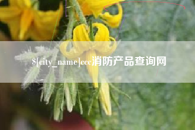 龙岩ccc消防产品查询网